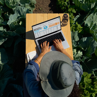 Vogelperspektive einer Frau mit einem Hut mit breiter Krempe, die an einem Tisch in einem Garten sitzt und an einer Geschäftspräsentation auf einem MacBook arbeitet.