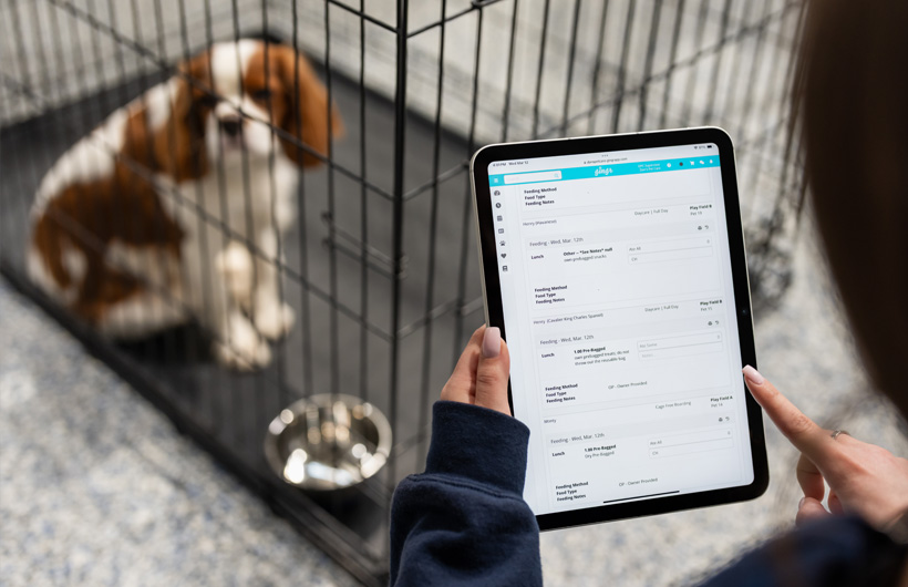 Met iPad kunnen dierenverzorgers in real time voer- en medicatie-inname bijwerken in Gingr, een app voor huisdierendienstverleners.