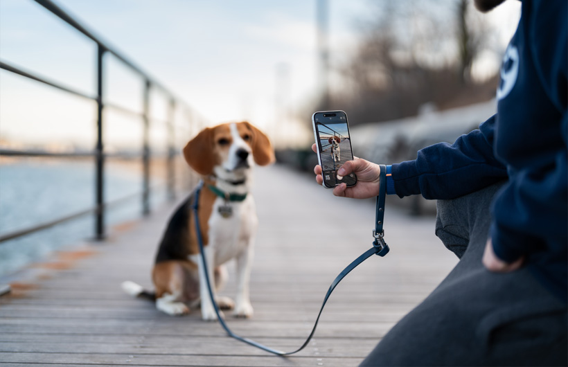 De uitzonderlijke camerakwaliteit van iPhone geeft rapporten voor huisdiereigenaren extra glans.